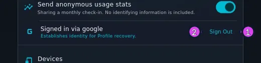 The ACCOUNT & DATA block signed in: the provider row Signed in via google / Establishes identity for Profile recovery. with Sign Out at its edge