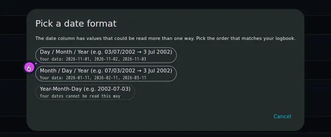 Pick a date format, all three options showing their rendered previews