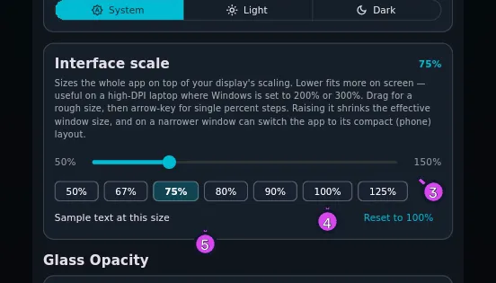 The Interface scale card at 100 %, chips and Reset to 100% greyed