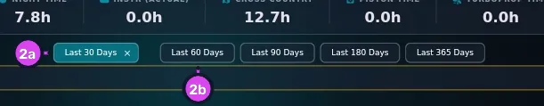 The chip row with one active filled chip (Last 30 Days, ✕ visible) and the remaining suggestion chips beside it