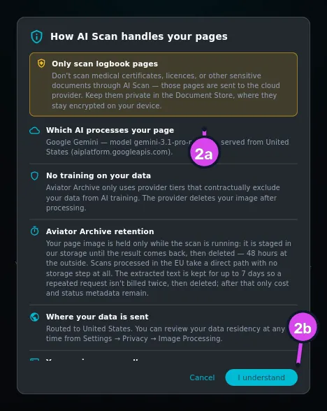 How AI Scan handles your pages, scrolled so the Only scan logbook pages block and the first two sections are visible